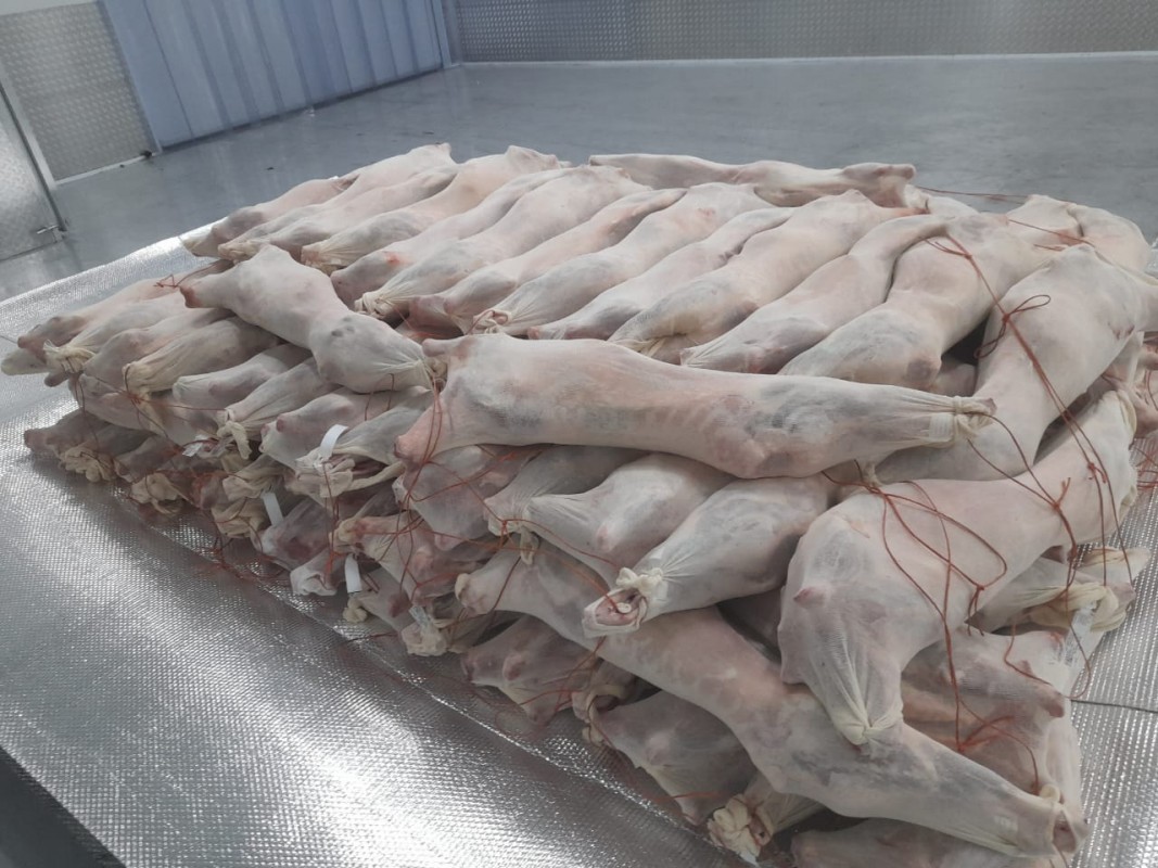 Merino grade A2 A3 lamb from South Africa